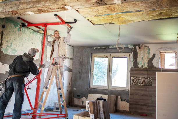 Best Energy-efficient Insulation  in San Luis, AZ