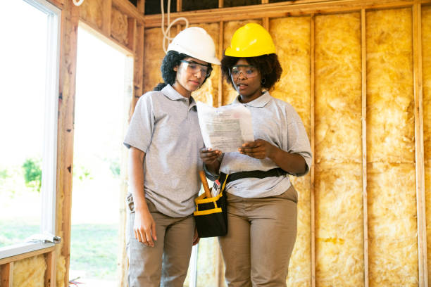 Best Insulation Removal  in San Luis, AZ