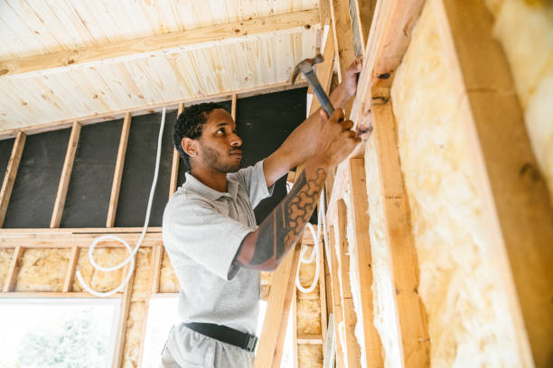 Insulation Replacement Services in San Luis, AZ