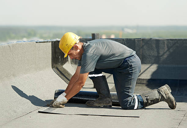 Best Soundproof Insulation Installation  in San Luis, AZ